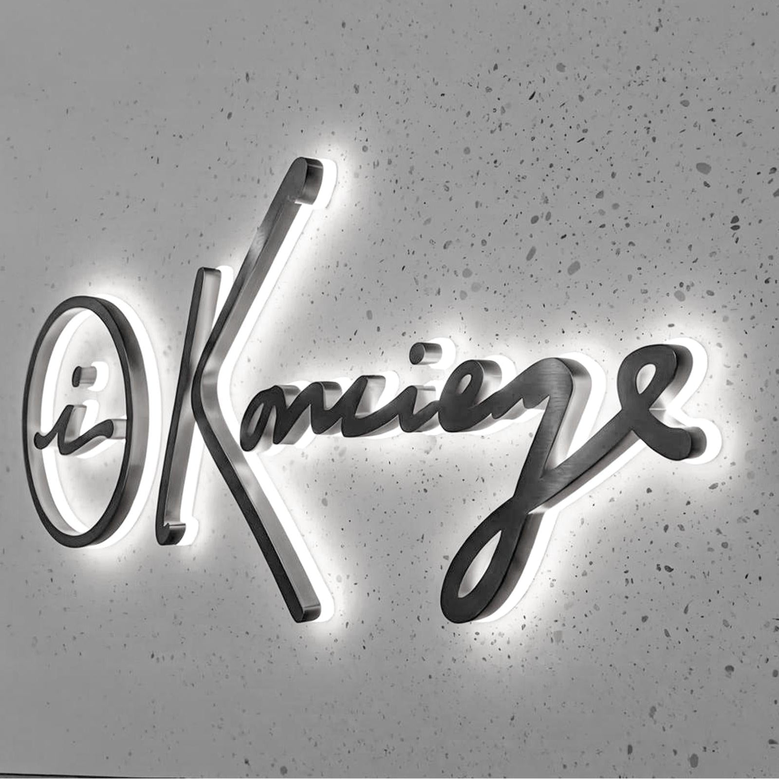 Custom LED Backlit Metal Logo Sign – 3D Business Logo for Office Reception & Storefront